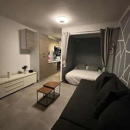 *studio Agreable Avec Balcon Et Vue Sur Mer* アパート *